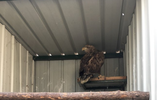 湖南環球信士科技有限公司,湖南野生動物追蹤,湖南衛星追蹤器,湖南追蹤器