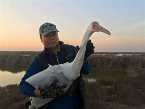 湖南環球信士科技有限公司,湖南野生動物追蹤,湖南衛星追蹤器,湖南追蹤器