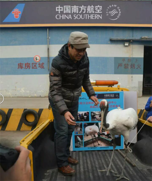 湖南環球信士科技有限公司,湖南野生動物追蹤,湖南衛星追蹤器,湖南追蹤器