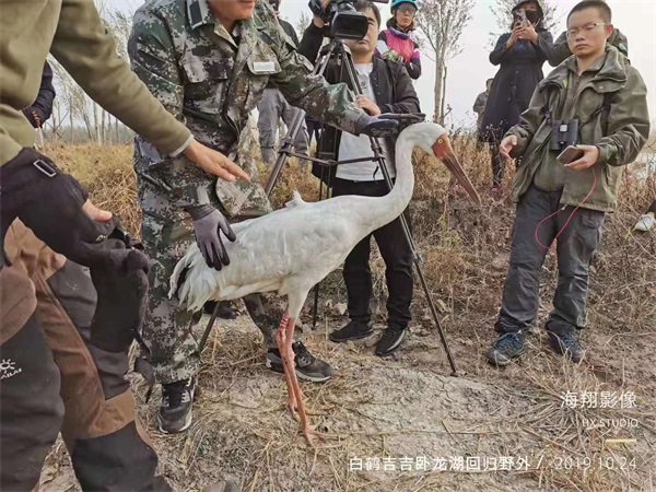 湖南環球信士科技有限公司,湖南野生動物追蹤,湖南衛星追蹤器,湖南追蹤器