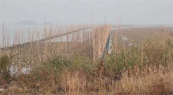 湖南環球信士科技有限公司,湖南野生動物追蹤,湖南衛星追蹤器,湖南追蹤器