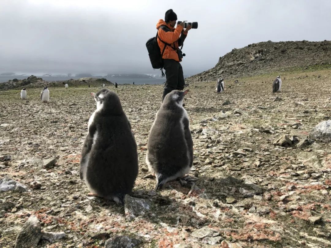 湖南環球信士科技有限公司,湖南野生動物追蹤,湖南衛星追蹤器,湖南追蹤器