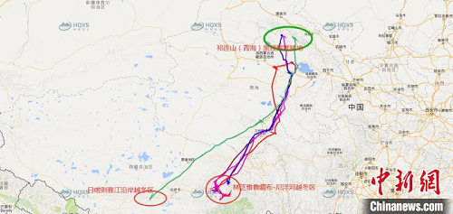 湖南環(huán)球信士科技有限公司,湖南野生動物追蹤,湖南衛(wèi)星追蹤器,湖南追蹤器