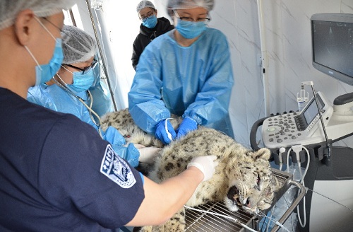 湖南環球信士科技有限公司,湖南野生動物追蹤,湖南衛星追蹤器,湖南追蹤器