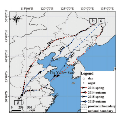 湖南環(huán)球信士科技有限公司,湖南野生動物追蹤,湖南衛(wèi)星追蹤器,湖南追蹤器