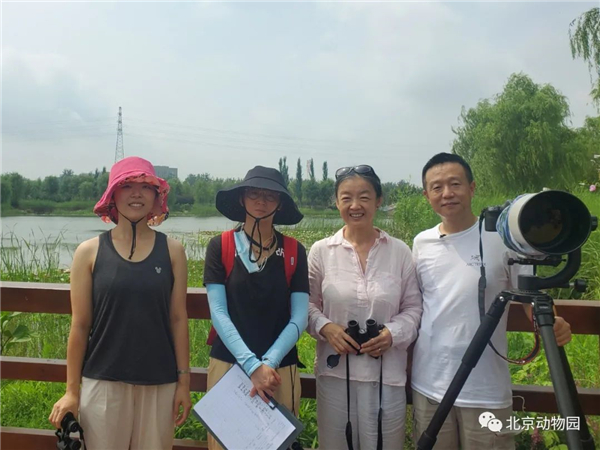 湖南環球信士科技有限公司,湖南野生動物追蹤,湖南衛星追蹤器,湖南追蹤器