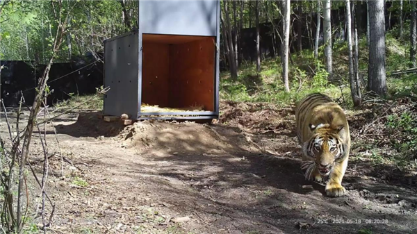 湖南環球信士科技有限公司,湖南野生動物追蹤,湖南衛星追蹤器,湖南追蹤器