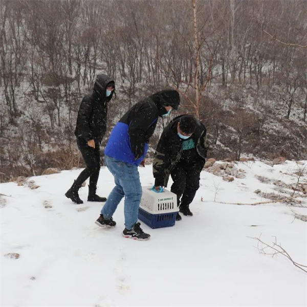 湖南環球信士科技有限公司,湖南野生動物追蹤,湖南衛星追蹤器,湖南追蹤器