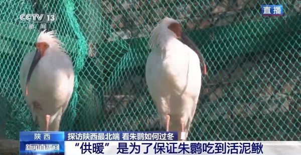 湖南環球信士科技有限公司,湖南野生動物追蹤,湖南衛星追蹤器,湖南追蹤器