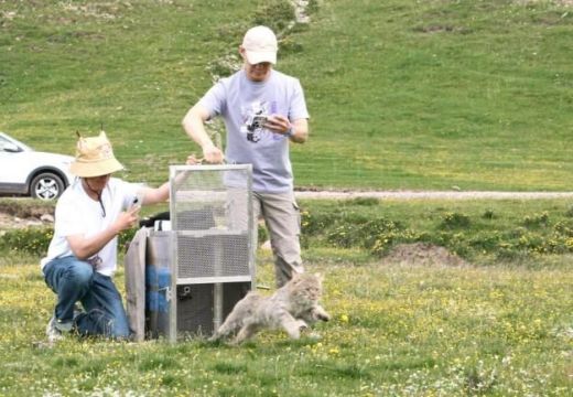 湖南環球信士科技有限公司,湖南野生動物追蹤,湖南衛星追蹤器,湖南追蹤器