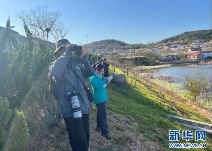 湖南環球信士科技有限公司,湖南野生動物追蹤,湖南衛星追蹤器,湖南追蹤器