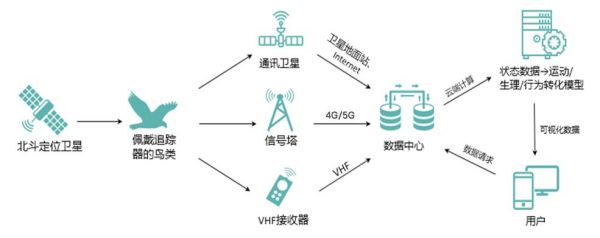 湖南環球信士科技有限公司,湖南野生動物追蹤,湖南衛星追蹤器,湖南追蹤器